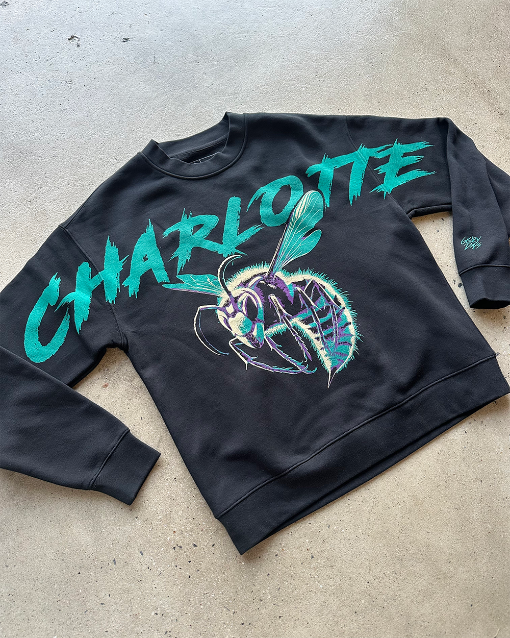 Glory Days Apparel - Charlotte Hoops Super Sleeves Sweatshirt