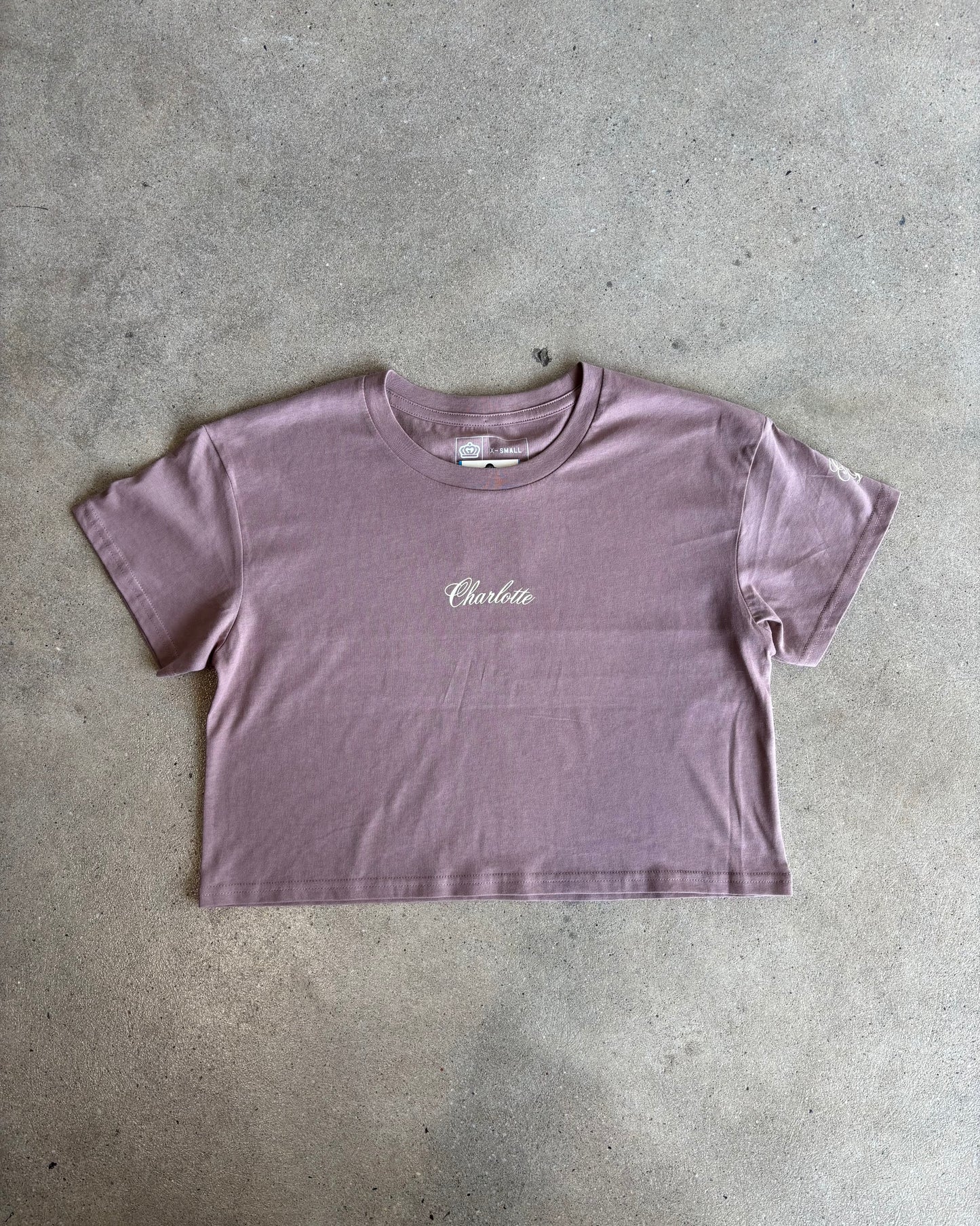 Glory Days Apparel - Women's Charlotte Prestige Hazy Pink Crop Tee