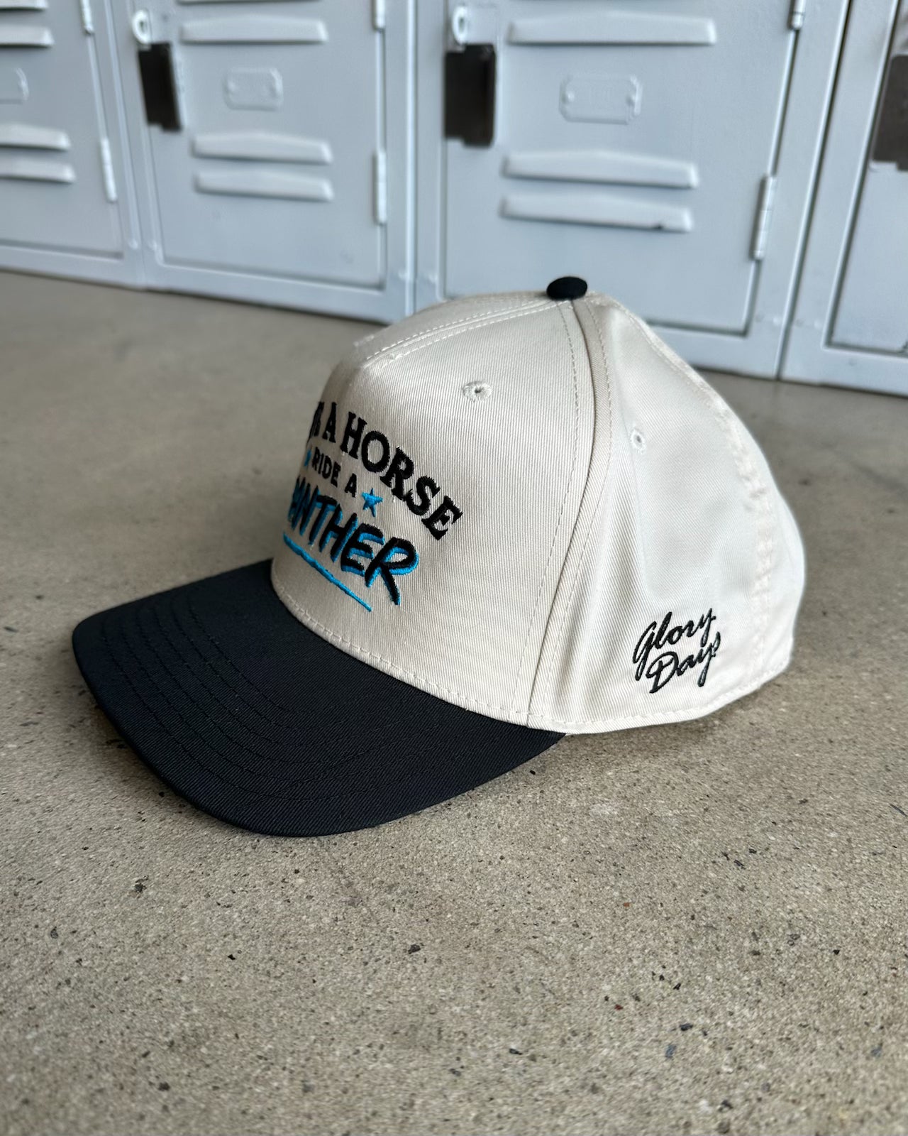 Save A Horse Hat