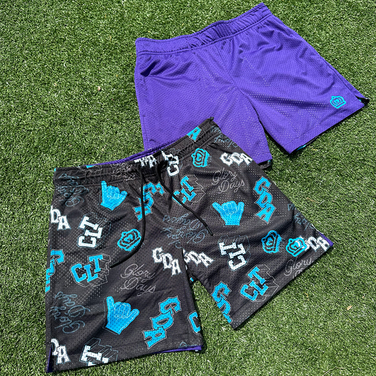 Glory Days Apparel shorts