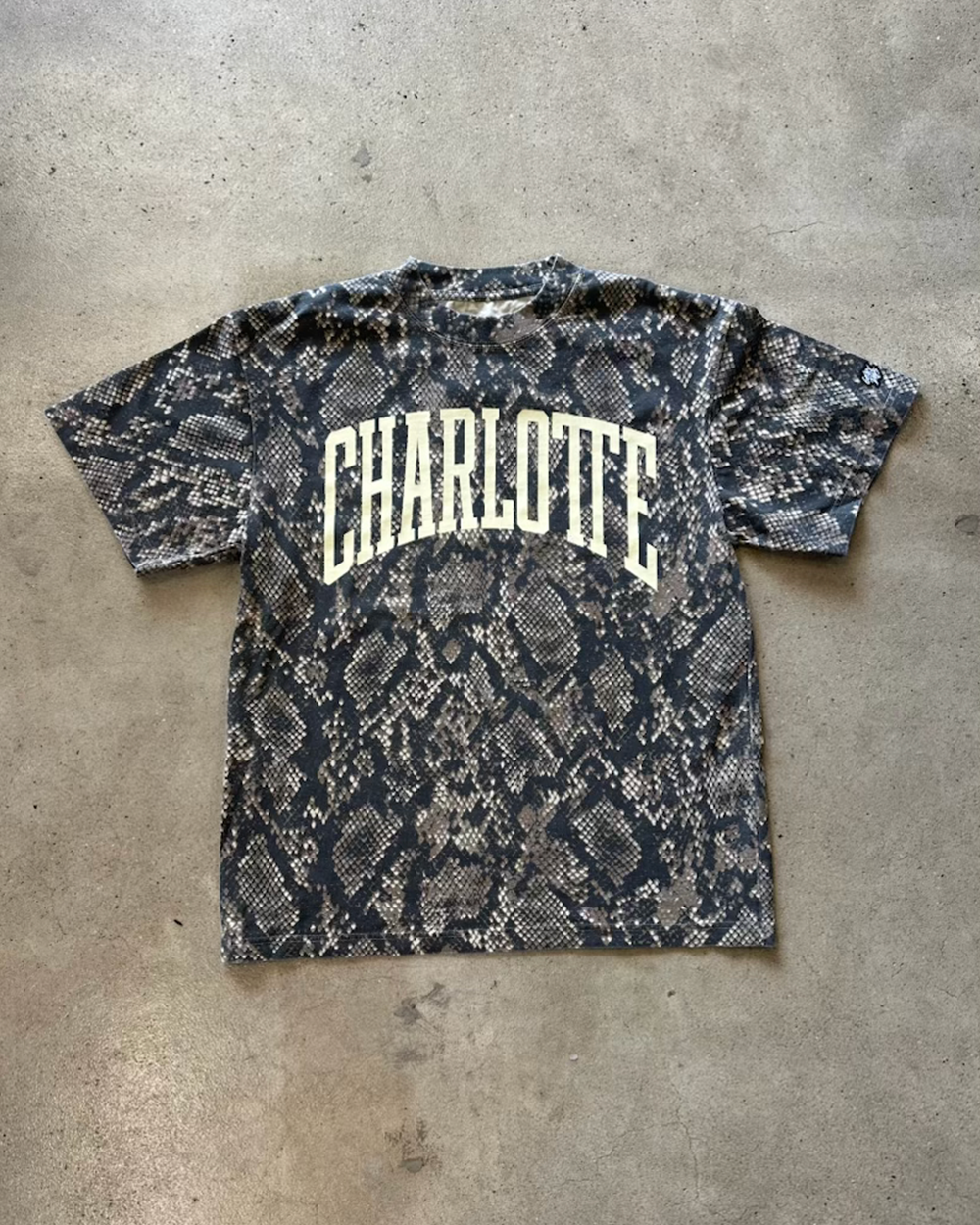 Glory Days Apparel - Charlotte Big Block Vintage Rattlesnake T-Shirt