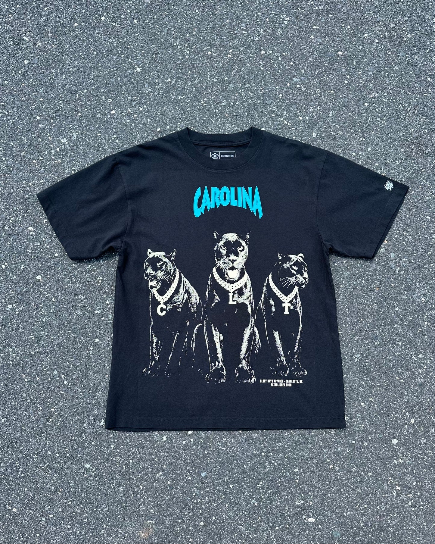 Glory Days Apparel - Black Nuthin' But A Carolina Thang Oversized T-Shirt