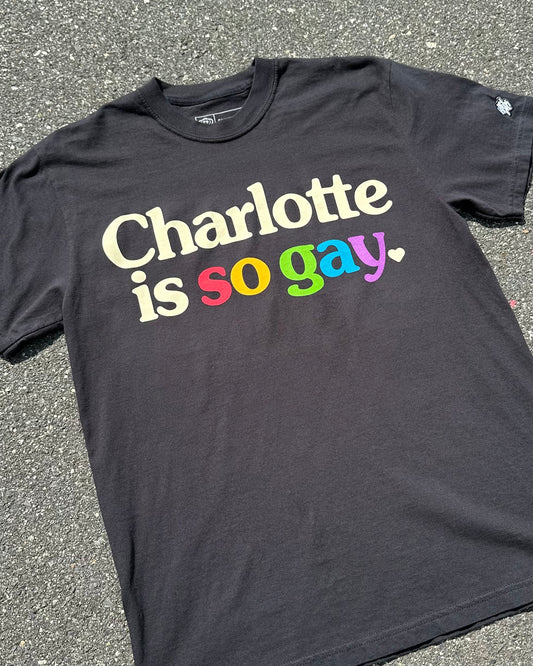 Glory Days Apparel - Charlotte Is So Gay T-Shirt