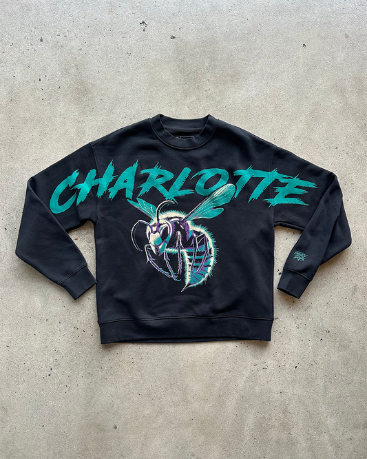 Glory Days Apparel - Charlotte Hoops Super Sleeves Sweatshirt