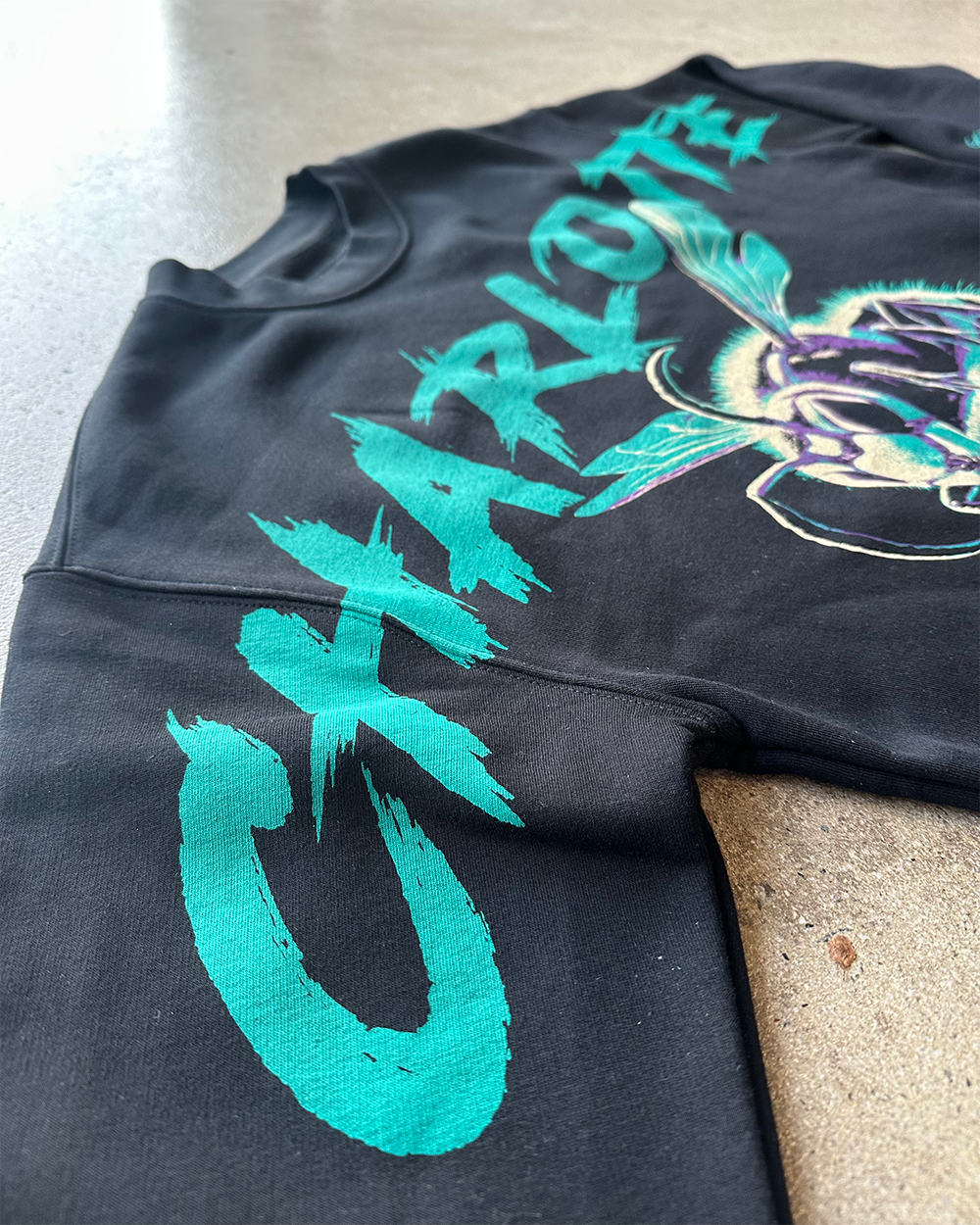 Glory Days Apparel - Charlotte Hoops Super Sleeves Sweatshirt