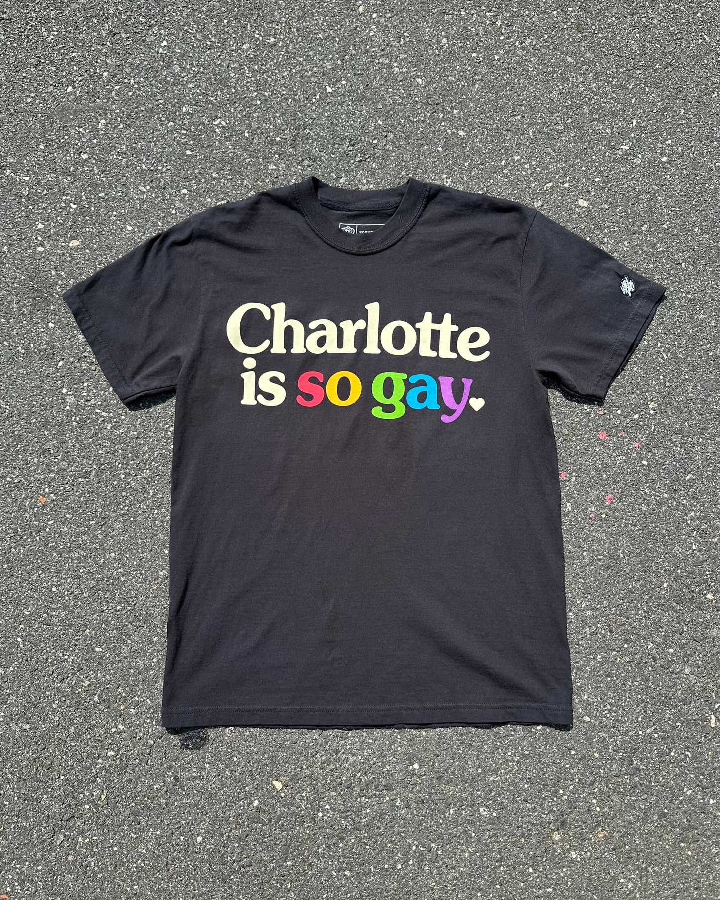 Glory Days Apparel - Charlotte Is So Gay T-Shirt