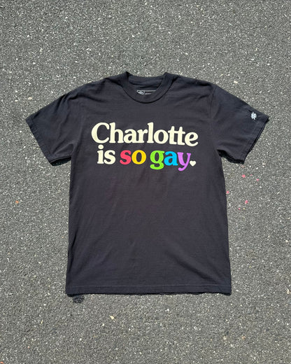 Glory Days Apparel - Charlotte Is So Gay T-Shirt