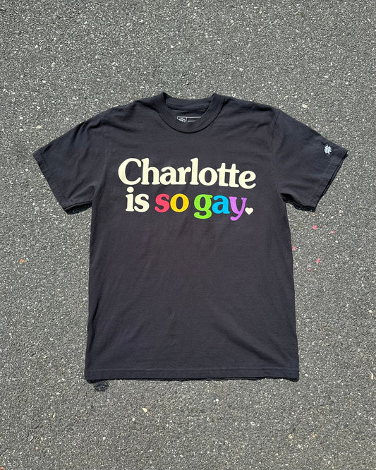 Glory Days Apparel - Charlotte Is So Gay T-Shirt