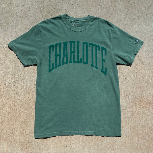 Charlotte shirt
