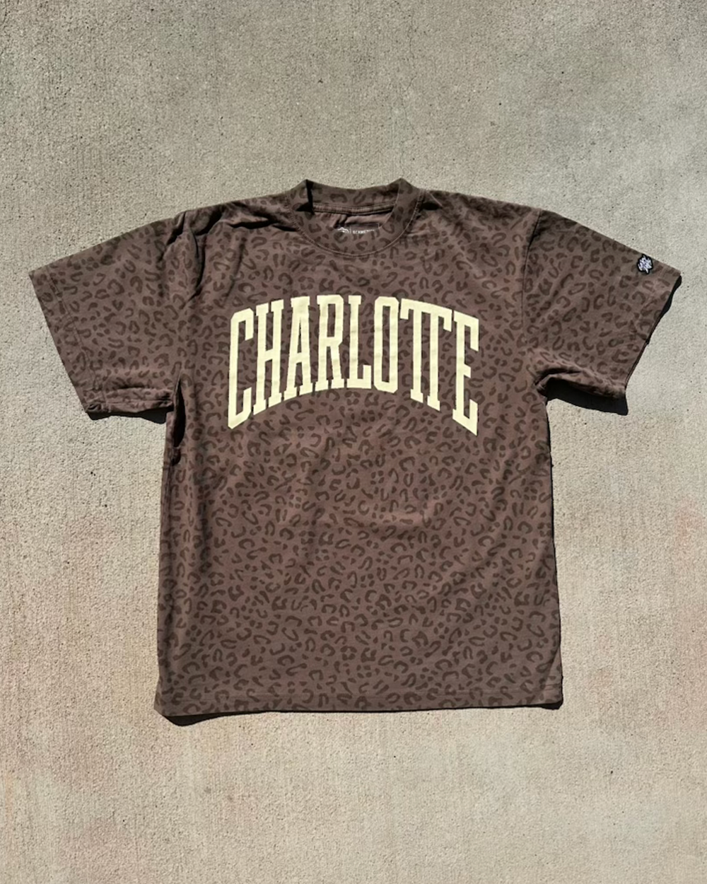 Glory Days Apparel -  Charlotte Big Block Faded Brown Leopard T-Shirt