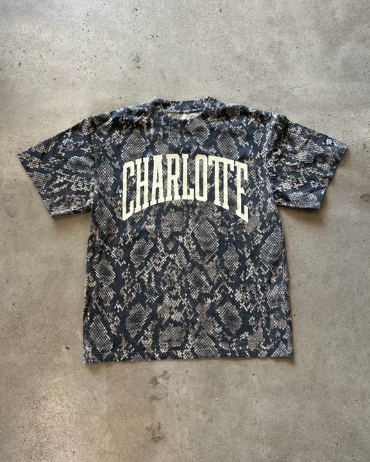 Glory Days Apparel -  Charlotte Big Block Vintage Rattlesnake T-Shirt