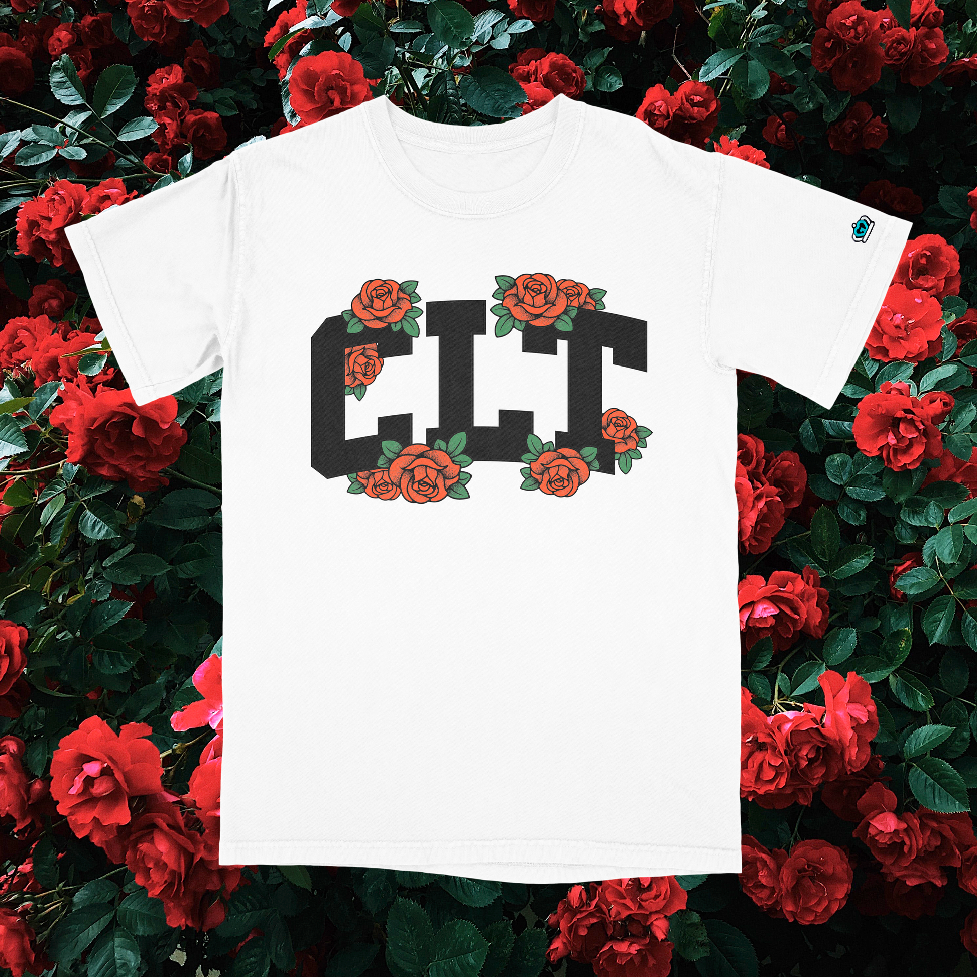 CLT shirt